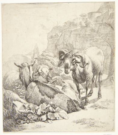 Standing ram, lying goat and two sheep, Johann Heinrich Roos