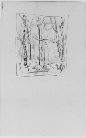 Trees and Rocks in a Forest (from Sketchbook), Henry Ward Ranger