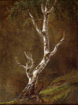Study of a Birch Tree, Johan Christian Dahl, 1826