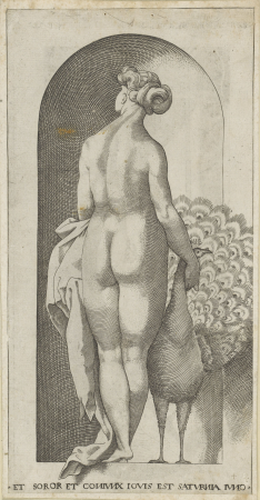 Juno Et soror et coniunx iovis est Saturnia iuno (titel op object) Goden in nissen (serietitel), RP-P-H-H-84, Jacob Binck, between 1510 and 1569