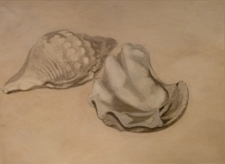 Léon Spilliaert (1908) - Stilleven met schelpen, Léon Spilliaert