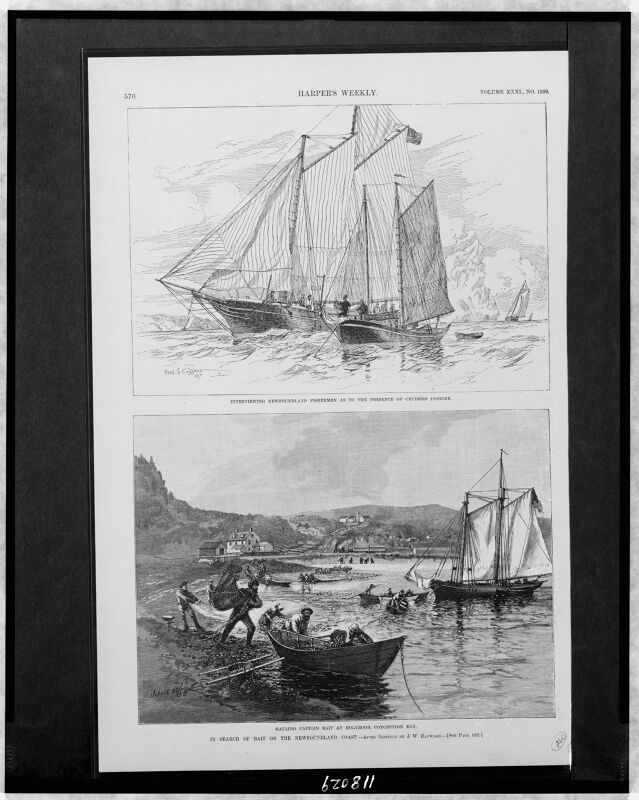 Interviewing Newfoundland fishermen as to the presence of cruisers inshore - Fred S. Cozzens. In search of bait on the Newfoundland coast-Hauling capelin bait at Holyrood, Conception Bay - LCCN97512229, 1887