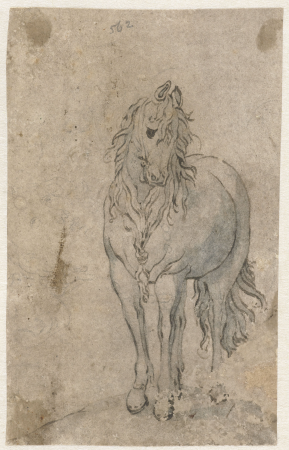 Paard van voren gezien, RP-T-1887-A-1213, Evert Wyntgis, between 1610 and 1650