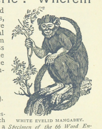 549 of 'The Life and Adventures of Robinson Crusoe ... With twelve illustrations by Thomas Stothard, etc' (11089078605), Thomas Stothard