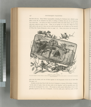 Scene in a Jaffa garden. Two women engaged in working a sâkiyeh, a clumsy machine for raising water from a well to fill a reservoir. On the branch of the pomegranate there is a chameleon., 1881