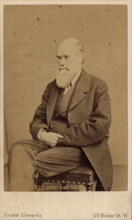 Carte de visite photography of Charles Darwin by Ernest Edwards, 1867, Ernest Edwards