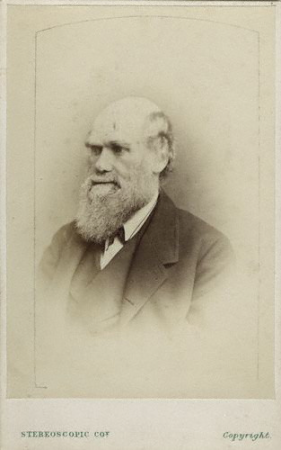 Charles Darwin photograph, after Ernest Edwards, circa 1866, circa 1866