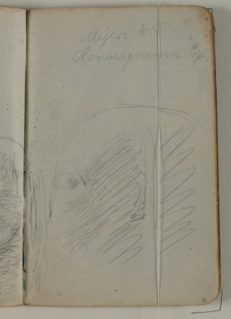 Studies of Egyptian Statue Heads. Note, Niels Larsen Stevns