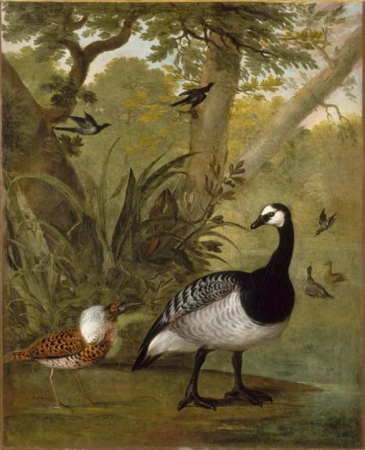 Study of birds, Nicasius Bernaerts, between 1643 and 1678
