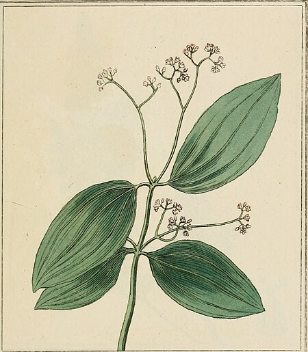 Elements of the science of botany, as established by Linnaeus; with examples to illustrate the classes and orders of his system (1812) (21078104389)