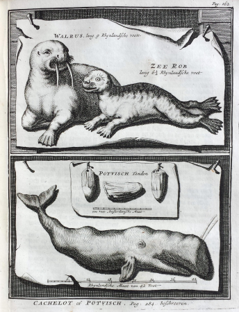 Print, book, map, Jacob Folkema, circa 1720