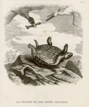 The Turtle and the Two Ducks, 1838