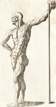 Polygraphice, or, The arts of drawing, engraving, etching, limning, painting, washing, varnishing, gilding, colouring, dying, beautifying and perfuming - to which is added a discourse of perspective (14779712815), 1681