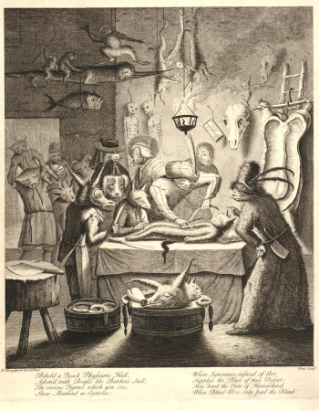 Print, satirical print, Egbert van Heemskerck II, circa 1730