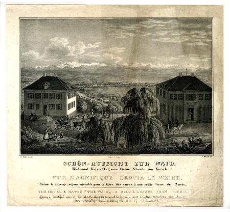 Magnificent view from the Weide, Johann Jakob Meyer