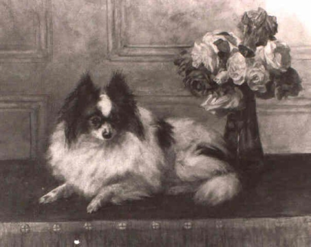 Japanese Chin on a table top by Frances C. Fairman, Frances C. Fairman, 1902
