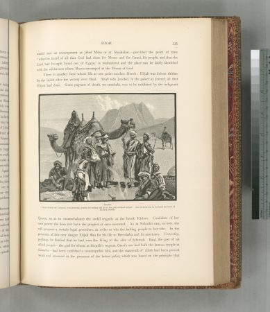 Arabs. These Arabs are Towarah, who generally prefer turban and fez to gailey - striped kefiyeh. One of them has in his hand the head of an ibex (bedan)., 1881