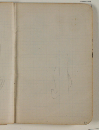 Uidentificerede rids, Niels Larsen Stevns