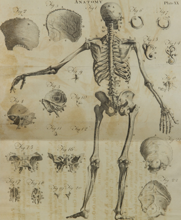 A compendious system of anatomy - in six parts ..; illustrated with twelve large copperplates (1792) (14779658345), Andrew Bell, 1792