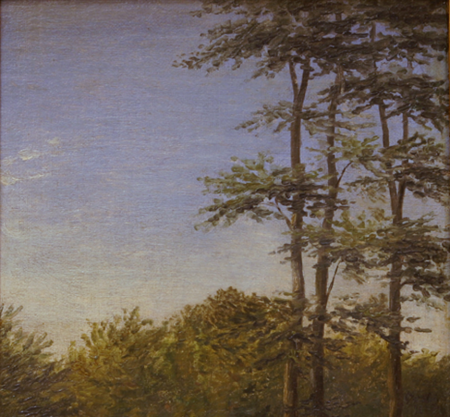 Study of Undergrowth and Tall Trees, Funen, Dankvart Dreyer, 1846