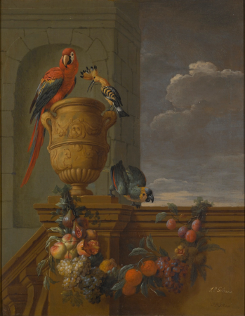 A macaw and a hoopoe perched on a stone urn with a parrot on the balustrade from which hangs a swag of fruit, Jan Pauwel Gillemans the Younger, between 1665 and 1702