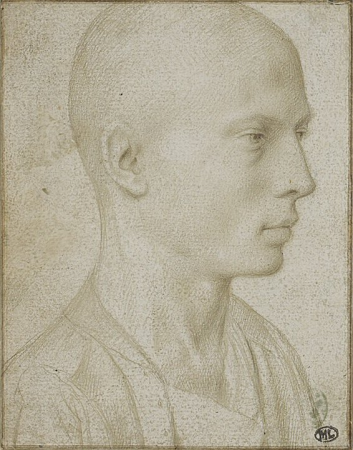 Study of a bust of a young boy with a shaved head, Gerard David