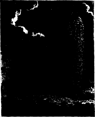 Monastic remains and ancient castles in England and Wales Fleuron T147632-7, 1792