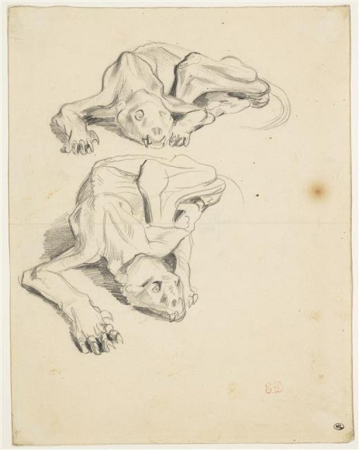Delacroix - Deux études d'un lion écorché, RF 9690, Recto, Eugène Delacroix