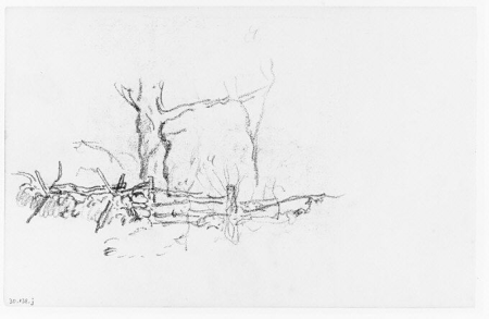 Trees behind a Fence (from Sketchbook), Henry Ward Ranger