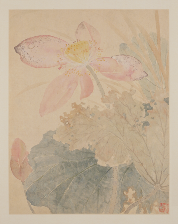 "Yun Shouping's Book of Flowers and Birds", Yun Shouping