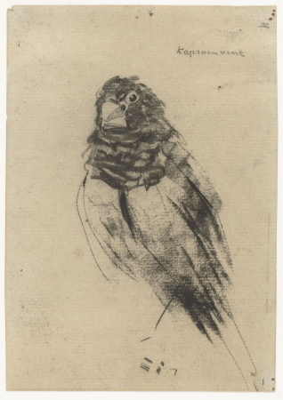 Kaproenvink, RP-T-1969-1004, Gerrit Willem Dijsselhof, between 1876 and 1924