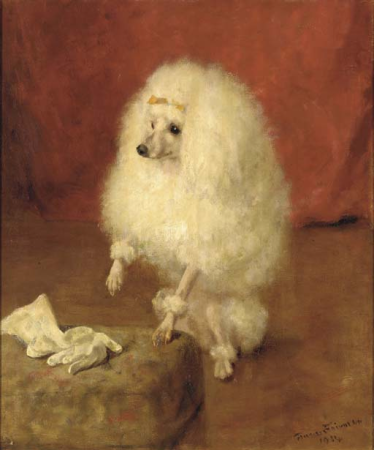 Portrait of a poodle by Frances C. Fairman, Frances C. Fairman, 1914
