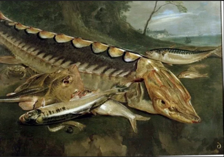 Still life of fish on rocks with large sturgeon in centre; trees behind and ships on sea, Arnoldus van Haecken, between 1710 and 1734