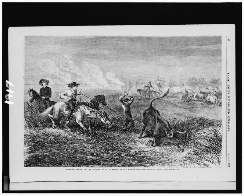 Branding cattle on the prairies of Texas - mirage in the background - from a sketch by James E. Taylor. LCCN94509006, James E. Taylor, 1867