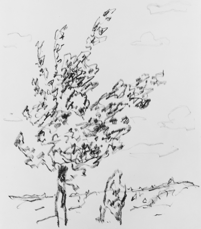 Tree, Allen Tucker, circa 1920