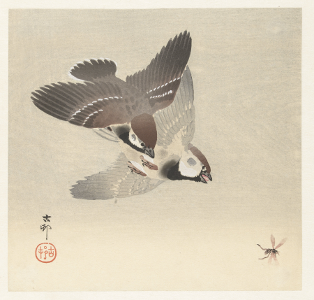 Ringmussen en insect, RP-P-1999-427, Ohara Koson, between 1900 and 1936
