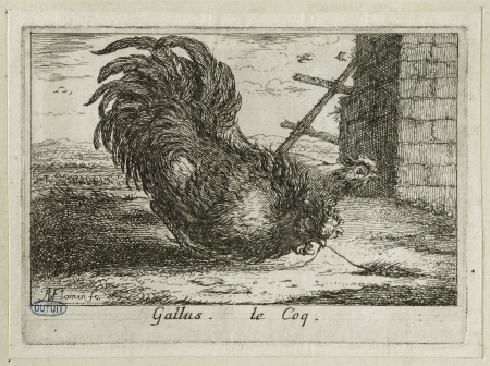 Différents oiseaux, Le coq (Robert-Dumesnil 393, Bartsch 79), GDUT4902, Albert Flamen, En 1659