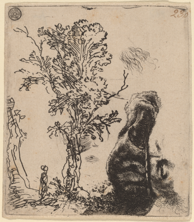 Sheet with Two Studies: a Tree, and the Upper Part of a Head of the Artist Wearing a Velvet Cap, Rembrandt, circa 1642