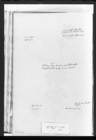 Alexander Marshal (RCIN 924292-2), Alexander Marshal