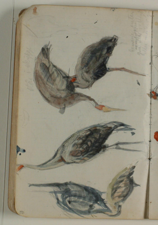 Sketches of cranes. Color specification, Niels Larsen Stevns
