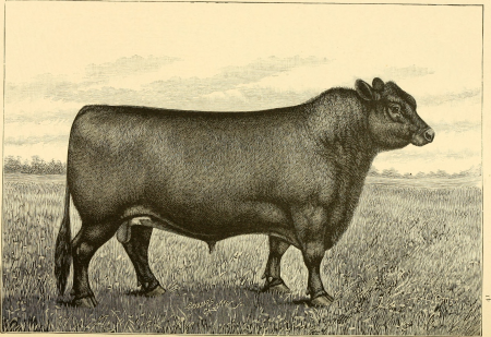 The breeds of live stock, and the principles of heredity (1887) (14594675769), Henry H. Cross