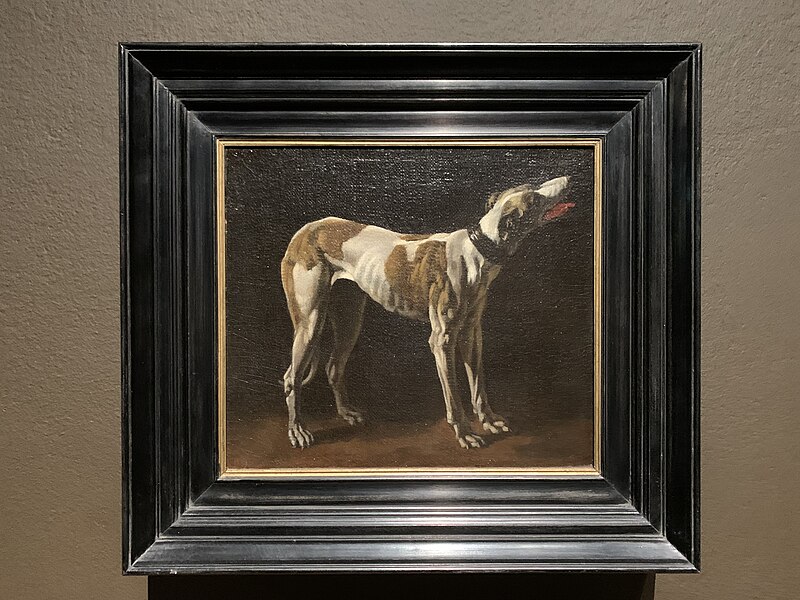Study of a greyhound, Pieter van Laer, circa 1636