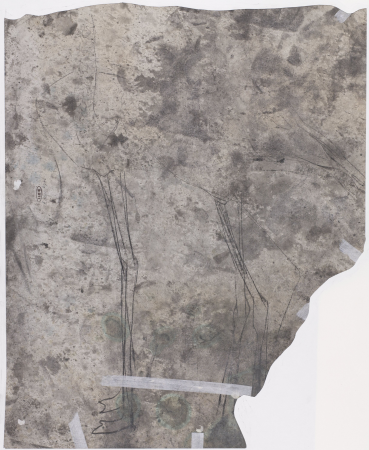 Studie van een vogel, RP-T-1969-1007(V), Gerrit Willem Dijsselhof, between 1876 and 1924