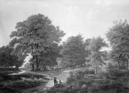 Forest section on the road between Helsingør and Hammermøllen, Jens Peter Møller, 1838