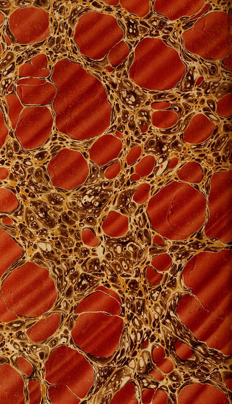 A voyage of discovery towards the North Pole - performed in His Majesty's ships Dorothea and Trent, under the command of Captain David Buchan, R.N; 1818 - to which is added, a summary of all the early (14593297427), 1843