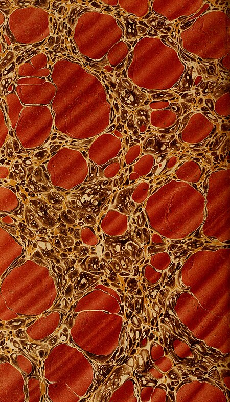 A voyage of discovery towards the North Pole - performed in His Majesty's ships Dorothea and Trent, under the command of Captain David Buchan, R.N; 1818 - to which is added, a summary of all the early (14593297427), 1843