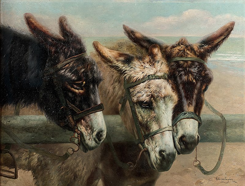 Donkeys at the fence, Piet van Engelen, between 1883 and 1924