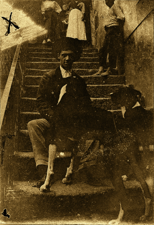 Amadeo de Souza Cardoso com cães - restored