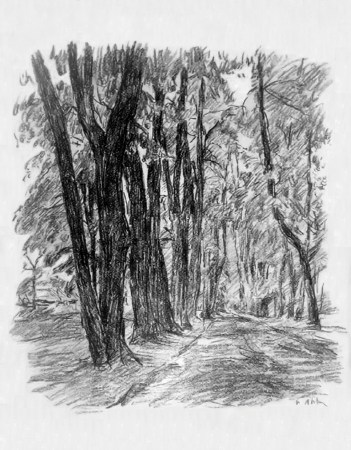 Дорога в парке (графика П.И. Львова)