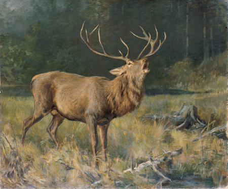 Rutting stag, Franz Xaver von Pausinger